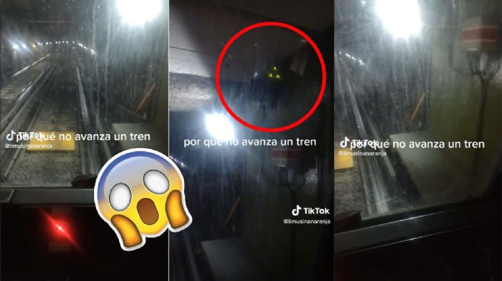 VIDEO TIKTOK: ¿Por qué se detiene el Metro en el túnel? Conductor lo explica
