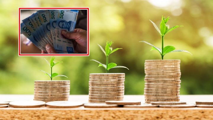 Tengo inversiones en Cetes, ¿cuánto pago de impuestos? ¿me conviene?