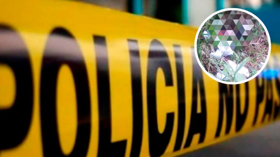 El bebé se encontraba en un predio del sur de Veracruz
