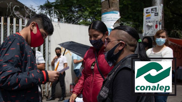 Inscripciones al Conalep en Veracruz; todo lo que debes saber