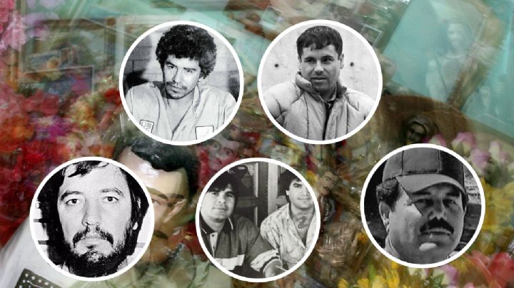 Linajes del narco en México: en peligro de extinción