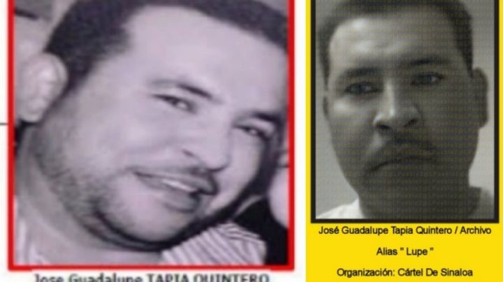 VIDEO: Militares atrapan a "Lupe" Tapia, operador de “El Mayo” Zambada, en Sinaloa