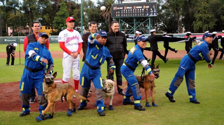 Perros rescatistas: Marina recorta gasto en su alimentación