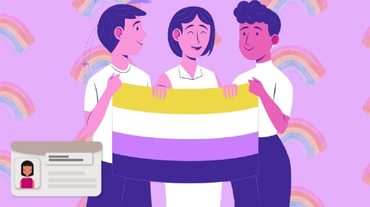 INE emitirá credenciales de elector para personas no binarias