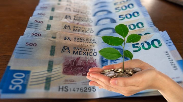 Repuntan los rendimientos de los Cetes a 91 días: ¿Te conviene?