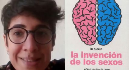 El cerebro y los sexos (una revisión crítica)