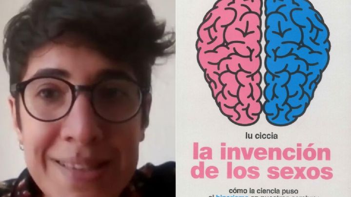 El cerebro y los sexos (una revisión crítica)