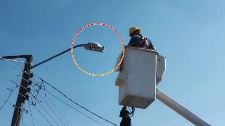 VIDEO | Michi utiliza 1 de sus 7 vidas para librar muerte electrocutado