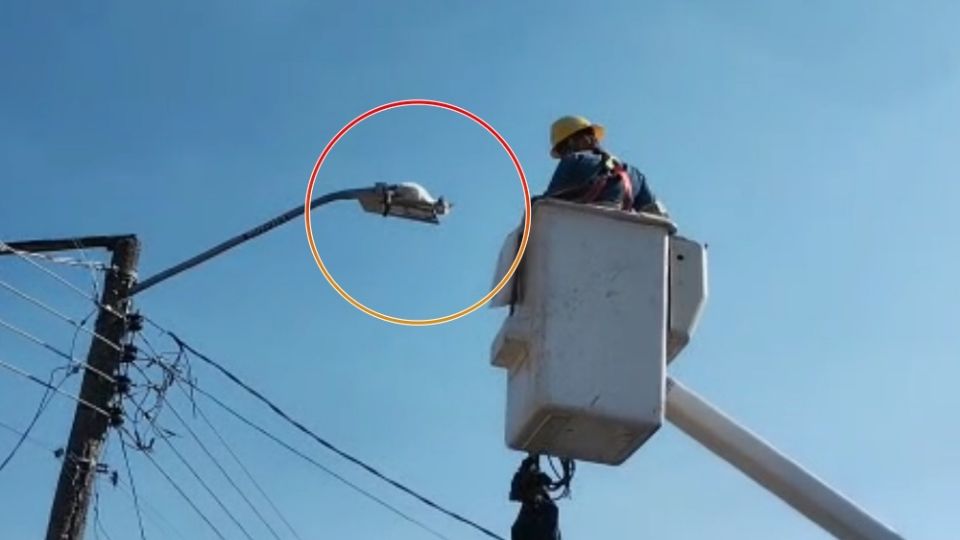 Una gatita espantada subió a lo alto de un poste con cables de la CFE, corrió el riesgo de electrocutarse, pero fue rescatada por una cuadrilla de Protección Civil