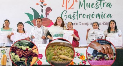 Muestra Gastronómica de Santiago de Anaya ofrecerá los platillos más exóticos; ¿cuándo es?