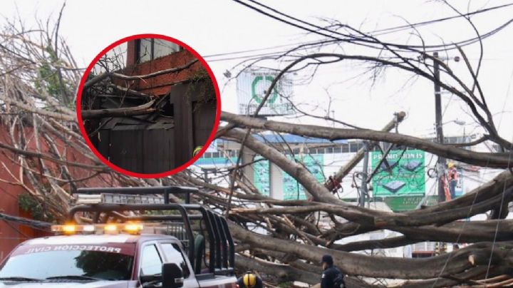 ¿Por qué hay tanto viento hoy en CDMX?