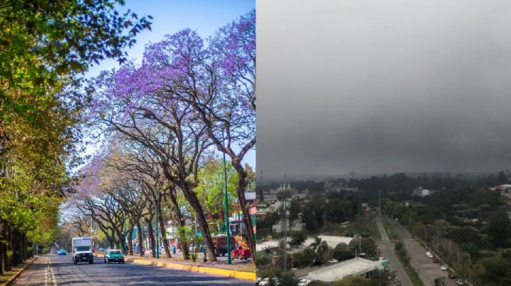 ¿Cómo estará el clima en Xalapa este sábado 09 de diciembre?