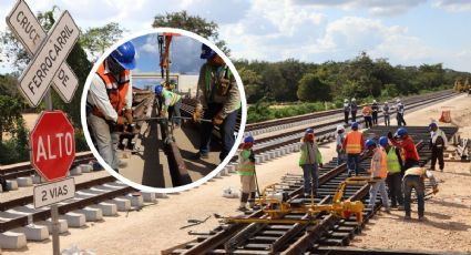 ¿Eres de Veracruz y quieres trabajar en el Tren Maya? Mira los requisitos