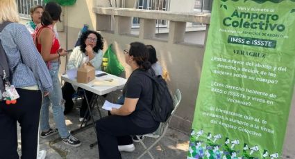 Por negar aborto, recolectan firmas para amparos contra IMSS e ISSSTE