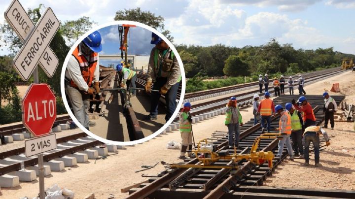 ¿Eres de Veracruz y quieres trabajar en el Tren Maya? Mira los requisitos