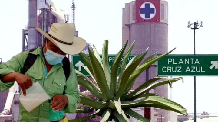 De cooperativista a pulquero, pide reabrir Cementera Cruz Azul; CFE impedido para reconectar energía