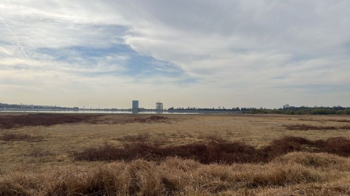 Presa El Palote en riesgo de desaparecer: asegura especialista