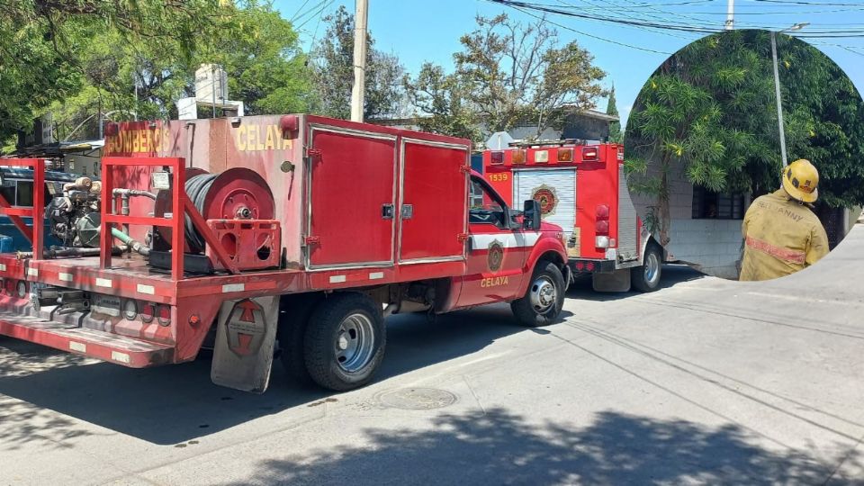 Los bomberos y Protección Civil lograron eliminar el riesgo.