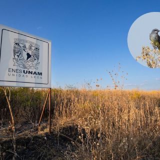 La UNAM construirá en León una reserva ecológica de matorral