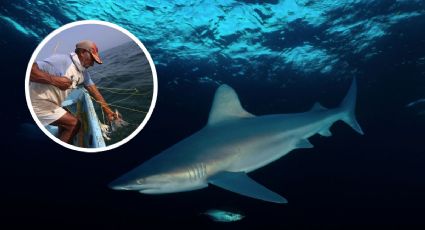 Pescadores en Veracruz capturan a raro tiburón de 150 kilos