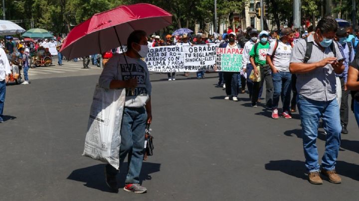 Manifestaciones CDMX: Se movilizarán trabajadores de educación y defensores de animales