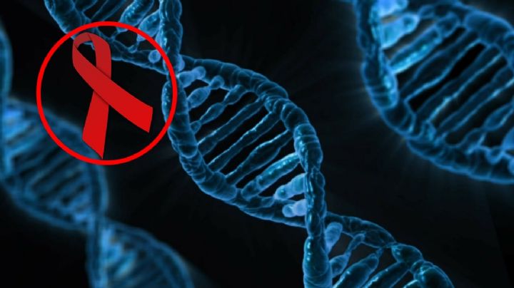 Células madre de cordón umbilical ¿la cura al VIH?