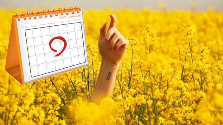 ¿Por qué se regalan FLORES AMARILLAS el 21 de marzo? Esta es la verdad