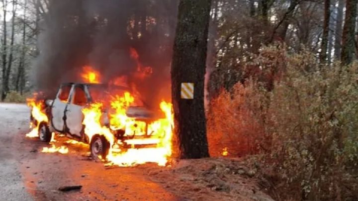 VIDEO: Así golpearon talamontes a miembros de Profepa en Parque La Malinche