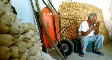 Ante aumento de tortilla, Eliazer vende a 12 pesos el kilo de maíz en Jalcomulco, Veracruz