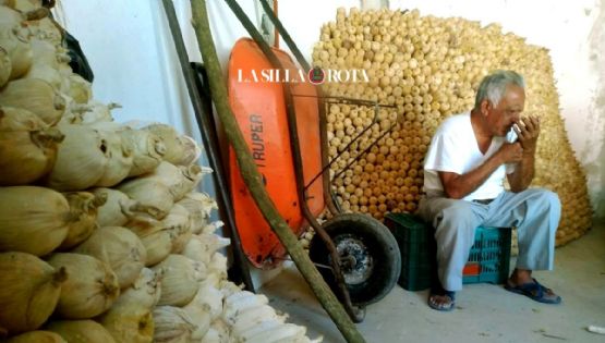 Ante aumento de tortilla, Eliazer vende a 12 pesos el kilo de maíz en Jalcomulco