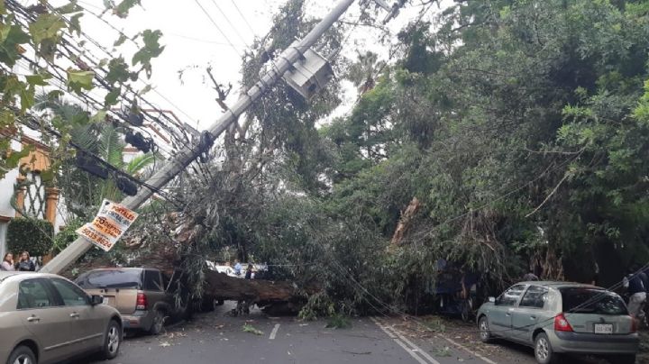 Activan Alerta Amarilla por fuertes rachas de viento por la tarde de este sábado 18 de marzo