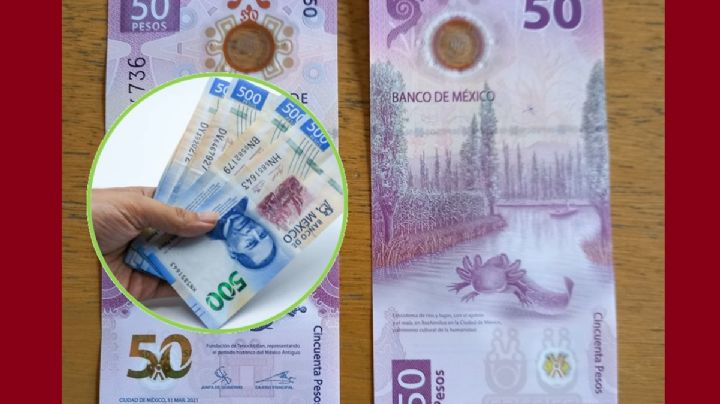 Así es el Billete de 50 pesos que vale hasta 620 mil pesos