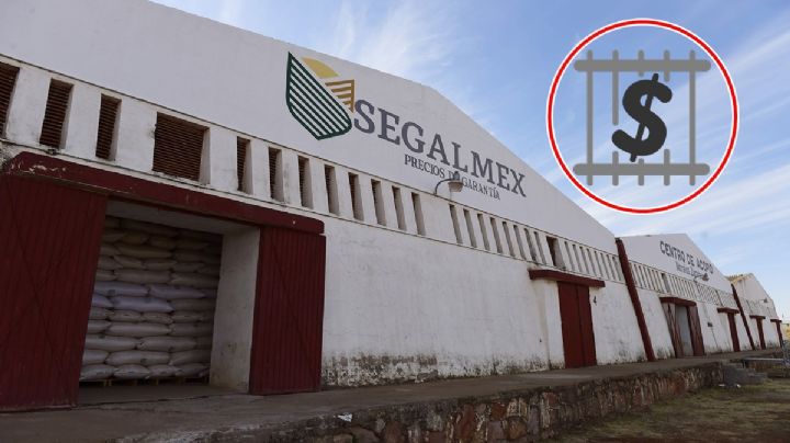 Caso Segalmex: FGR vincula a uno más por probable delito de delincuencia organizada