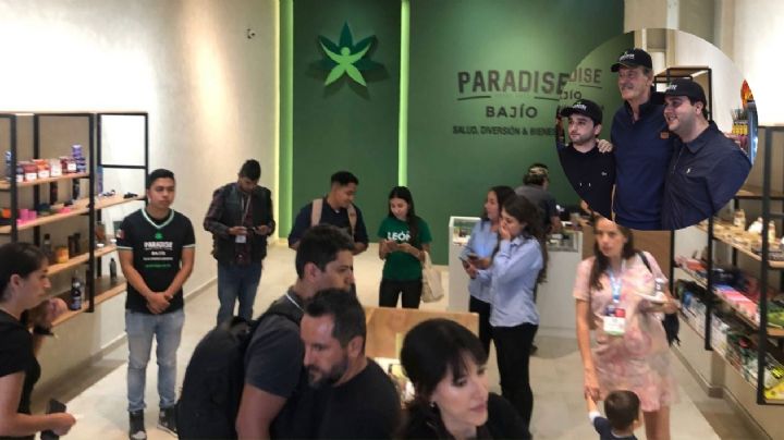 Así se puede obtener una franquicia de la “mota” de Vicente Fox