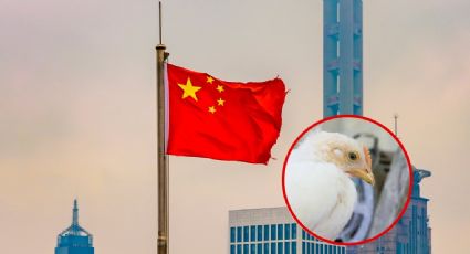 ¿Otra pandemia? China reporta caso de gripe aviar en humano