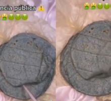 Oso mil: Compra tortillas de maíz azul en Veracruz y denuncia que están podridas