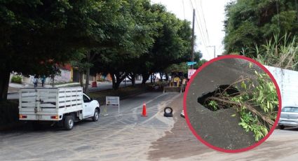Por socavón cierran avenida Primero de Mayo, en Xalapa. Mira las vías alternas