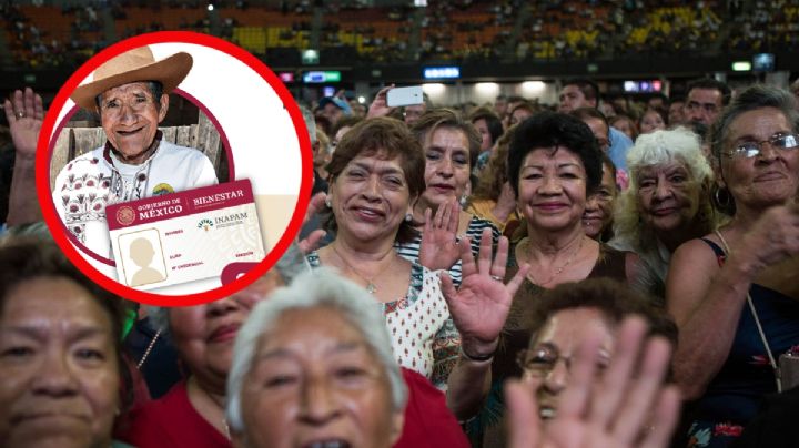 INAPAM 2023: ¿Qué pasa si perdí mi tarjeta de descuentos?