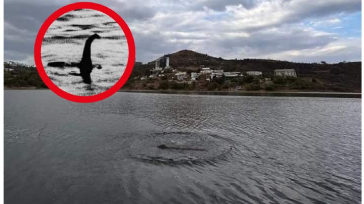 ¿El monstruo del Lago Ness en la Presa Madín? Esto dicen autoridades y vecinos de Atizapán