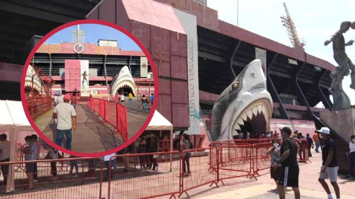 En este lugar del puerto pondrán cabezas de Tiburón que estaban en el Pirata