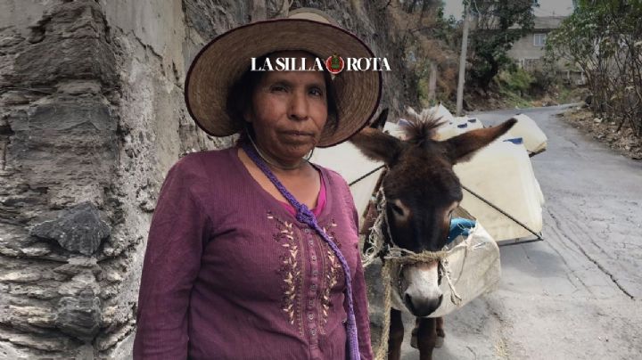 Agua viaja en burro en Xochimilco: la CDMX del Siglo XIX