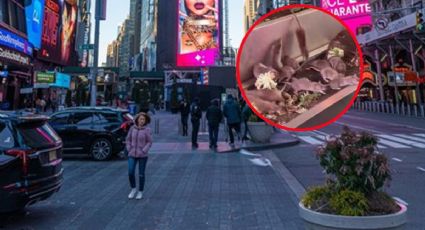 VIDEO: Ratas invaden el corazón de Times Square
