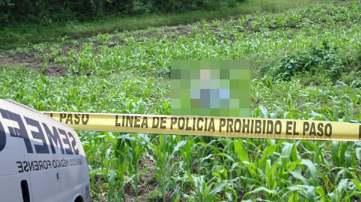 De tres balazos, asesinan a agricultor en su propia milpa