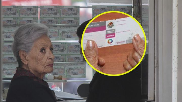 Por este ERROR no podrías tramitar tu TARJETA INAPAM