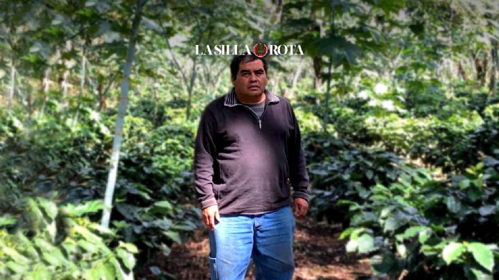 Sembrando vida y cambios en clima ponen en jaque a caficultores de Veracruz