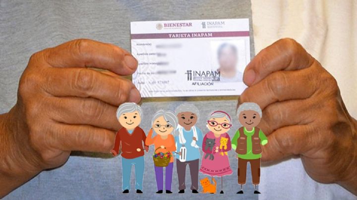 ¿Tienes esta tarjeta INAPAM? Tienes derecho a los mejores DESCUENTOS