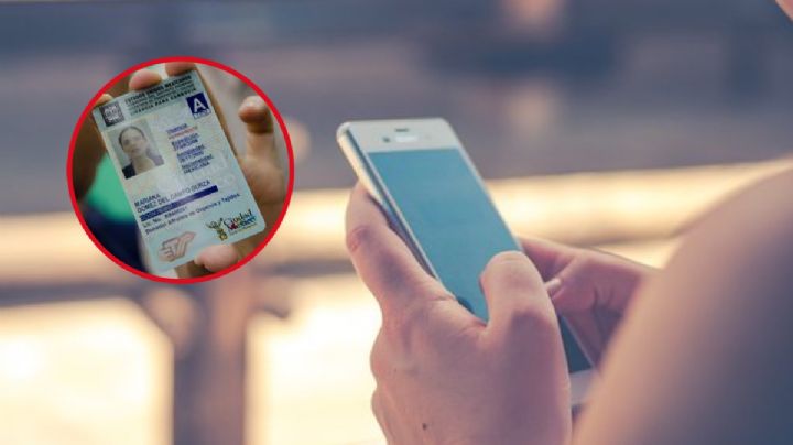 Licencia de conducir digital: Así se tramita y se renueva desde tu celular