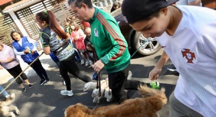 700 mascotas participan en el Primer Maratón Canino 2023, en Coyoacán
