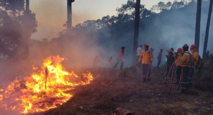 Se pierden 34 hectáreas de zonas boscosas en Hidalgo a causa de los incendios