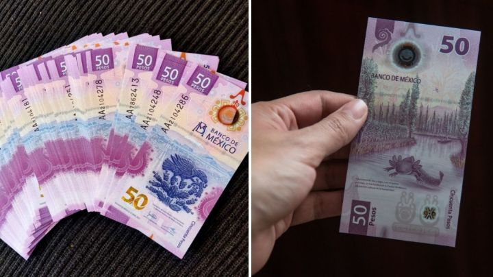 ¿Billetes de ajolote con valor de hasta 2 millones de pesos? Estas son las características